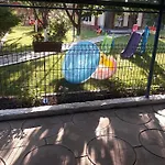 Gazde/Camere de închiriat Casa Raul *